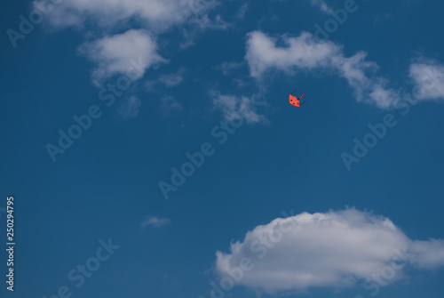 Wallpaper Mural Kite in the blue sky Torontodigital.ca
