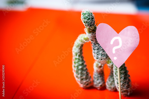 Cactus in the shape of man. near the heart. holiday gift concept photo