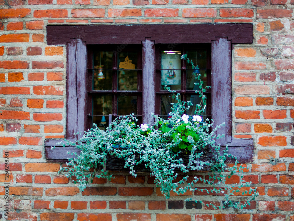 Vintage window with flowers and shutters in Lithuania