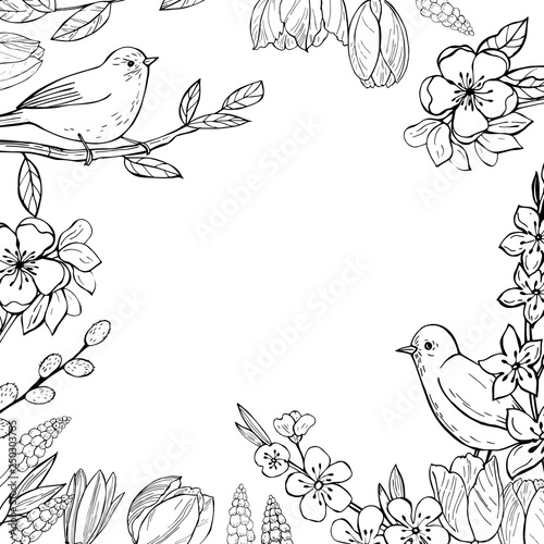 Spring background with  hand drawn birds and flowers.Vector sketch  illustration.