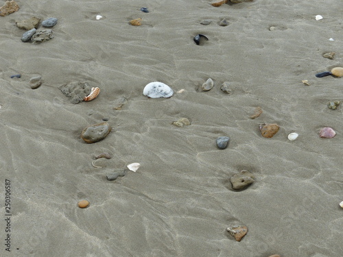 Fundstücke im nassen Sand