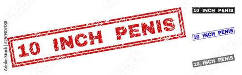 Grunge 10 INCH PENIS rectangle stamp seals isolated on a white background. Rectangular seals with grunge texture in red, blue, black and gray colors.