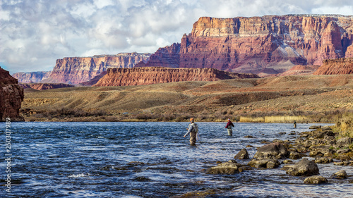 Obraz na plátně Fly Fisherman on the Colorado river near Lees  Ferry AZ