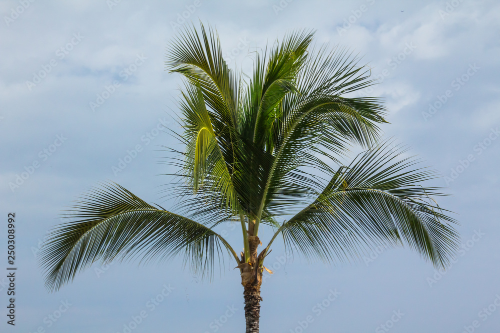 Hawaii Hawaii