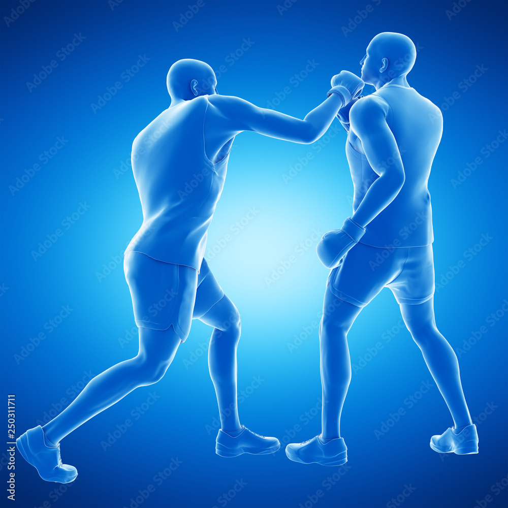 3d rendered medically accurate illustration of two boxing men