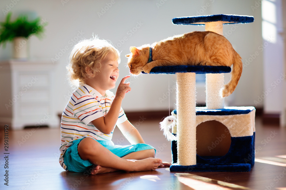 Child playing with cat at home. Kids and pets. - obrazy, fototapety, plakaty 