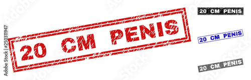 Grunge 20 CM PENIS rectangle stamp seals isolated on a white background. Rectangular seals with grunge texture in red, blue, black and grey colors.