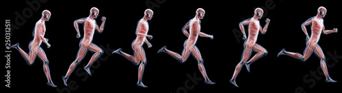 Foto 3d rendered illustration of a running mans muscles