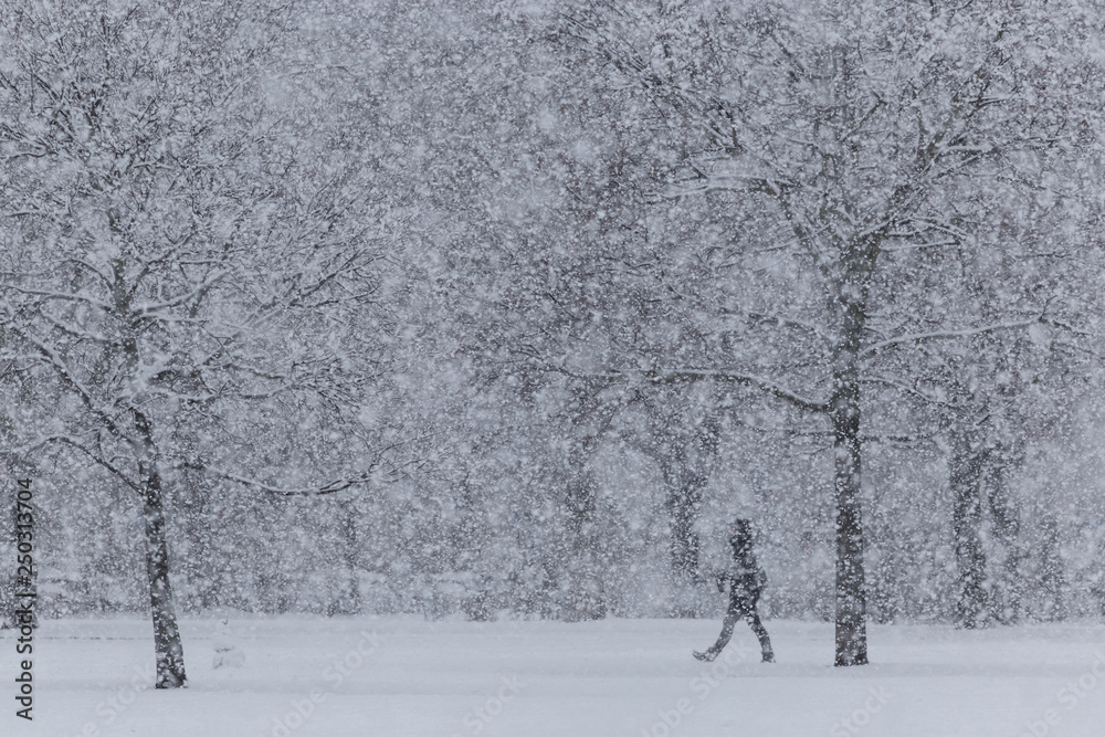 A person walks through a park during a snowfall A person walks through a park during a snowfall