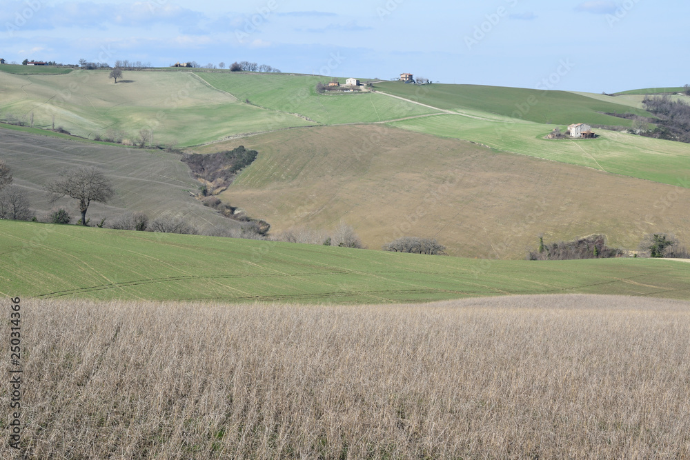 Obraz premium Paesaggio colline_6