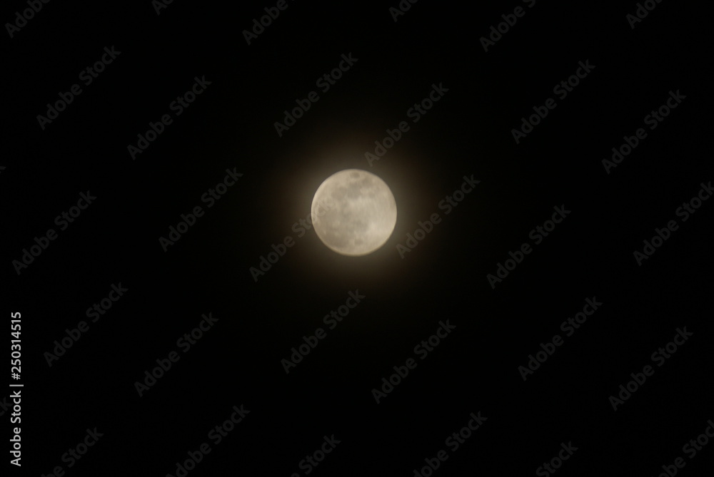 Moon Moon