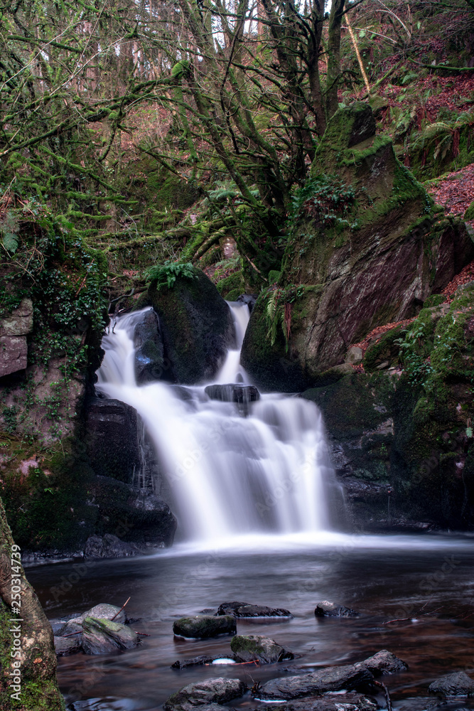 Obraz premium waterfall in the forest