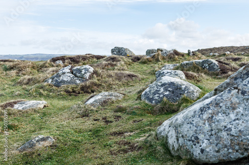 lots of large gray stones on the field in the green grass; nature view with mottled boulders