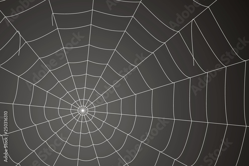 Creepy spider web on a gray background