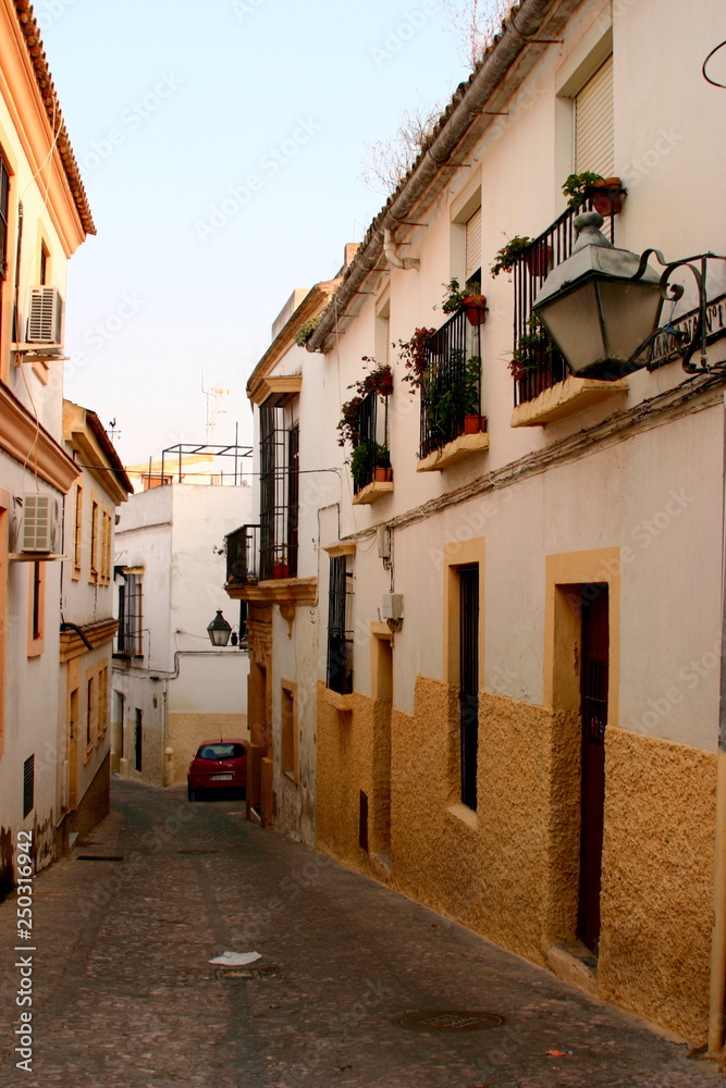 Jerez de la Frontera. City of Andalusia. Spain