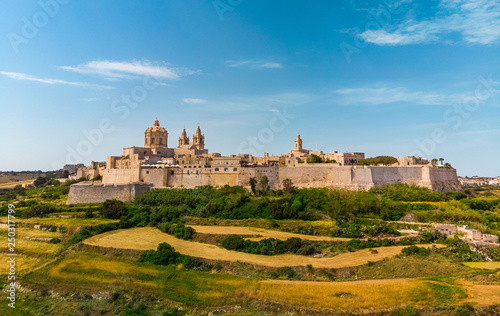 Aerial Landscape view of Mdina city - old capital of Malta country. Green fields and blue sky with clouds photo
