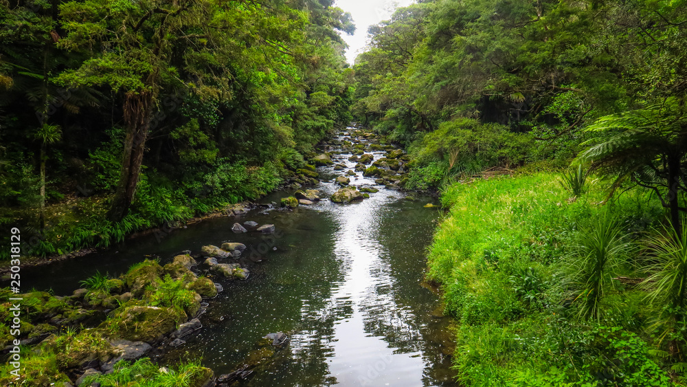Exploring Whangarei in the North Island of New-Zealand Exploring Whangarei in the North Island of New-Zealand