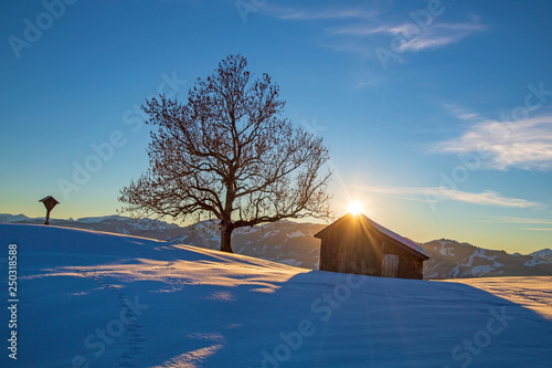 Allgäu - Winterwonderland - Schnee - Stadel - Baum - Abendsonne © Dozey