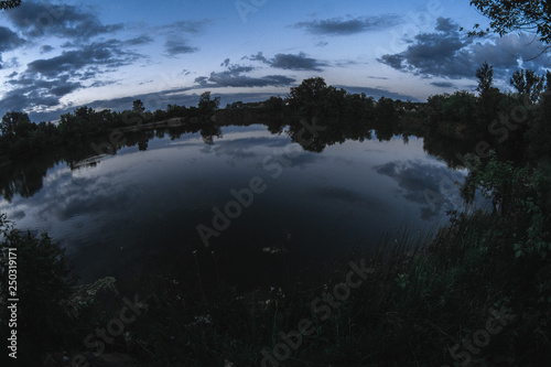 Evening summer landscape on the pond