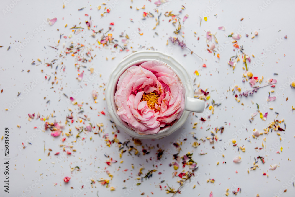 Fototapeta Cup of tea with rose bud and lavender leaves, petals