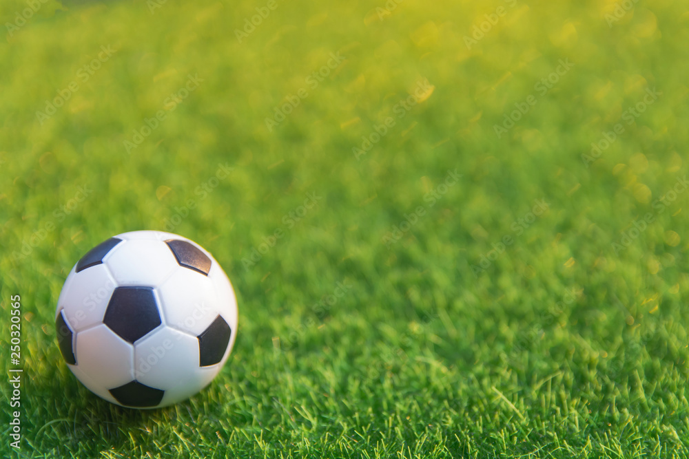 Obraz premium Soccer ball on grass green field with copy space