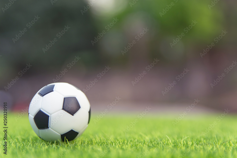 Fototapeta Piłki nożnej piłka na trawy zieleni polu z kopii przestrzenią