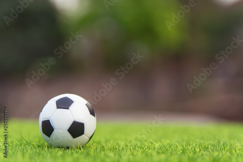 Soccer ball on grass green field with copy space © Achira22