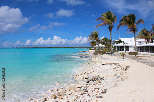 Fototapeta Naklejka Na Ścianę i Meble -  Beach of fine white sand, palm trees and azure sea. Long Island, Bahamas