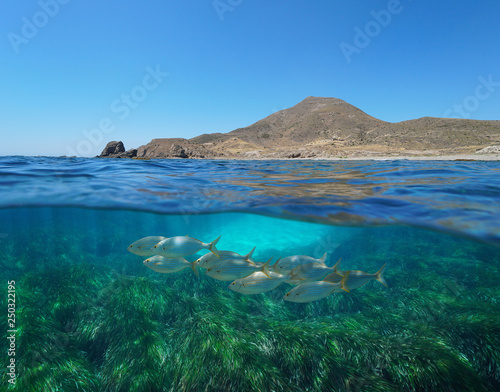 Spain arid coast with fish and seagrass underwater, Mediterranean sea, Cabo de Gata Nijar, Almeria, Andalusia, split view half over and under water