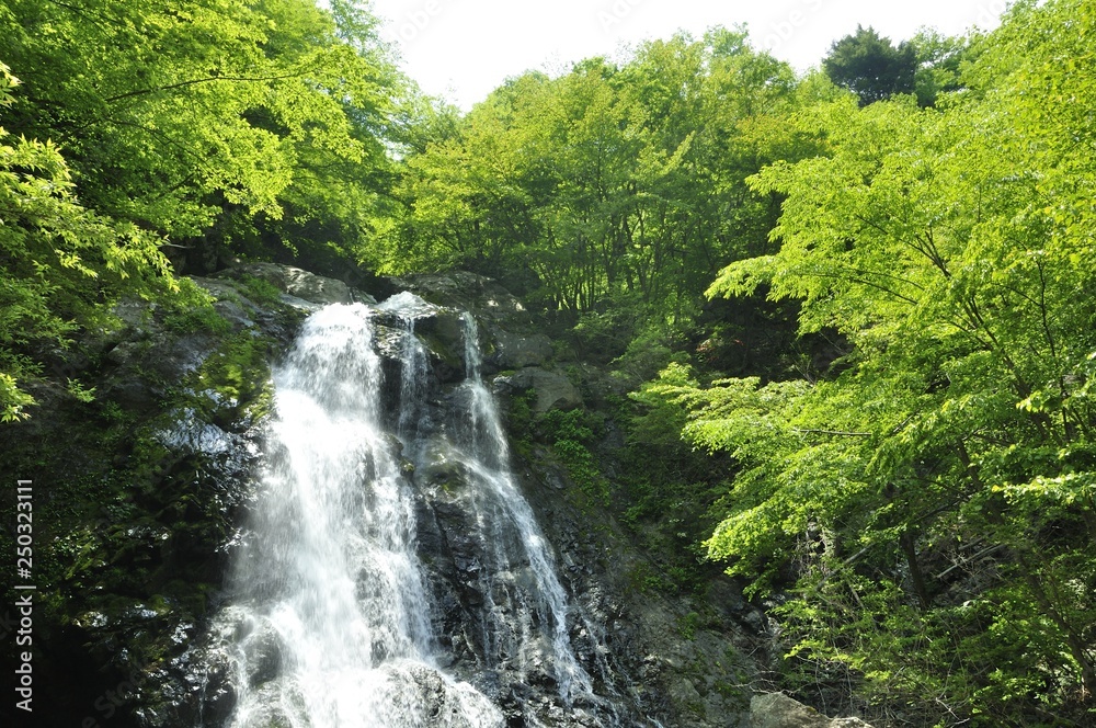 早戸川上流 原小屋沢の雷滝 早戸川上流 原小屋沢の雷滝