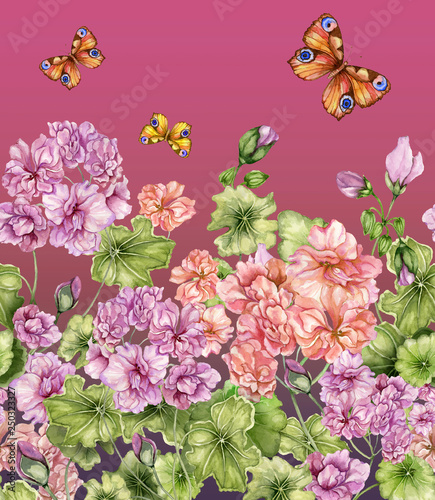 Beautiful floral background with pelargonium flowers and butterflies. Seamles...