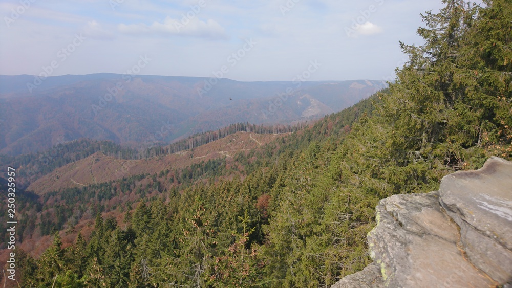 Fototapeta premium Autumn, trees, mountains