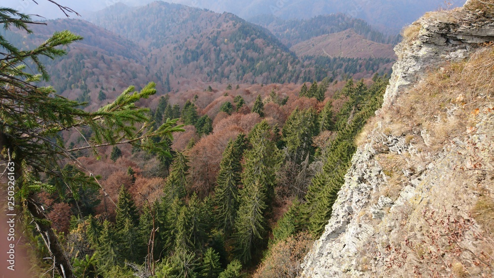 Fototapeta premium Autumn, trees, mountains