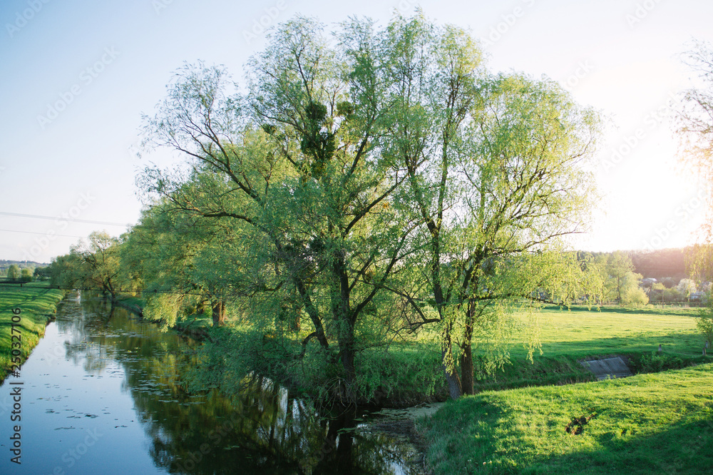 Spring evening sunny landscape near the river Spring evening sunny landscape near the river