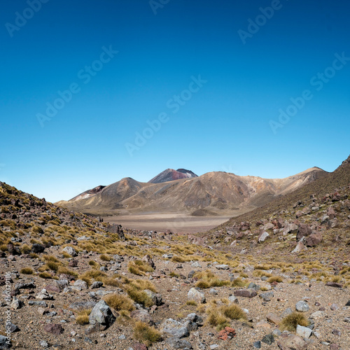 Tongariro Vulkanlandschaft Neuseeland