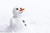 A very small funny snowman with carrot as nose