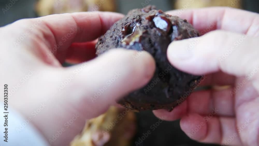 A woman breaks apart a cocoa muffin with chocolate chips A woman breaks apart a cocoa muffin with chocolate chips