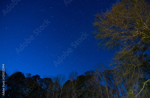blue hour stars and sky in Woodville Mississippi photo