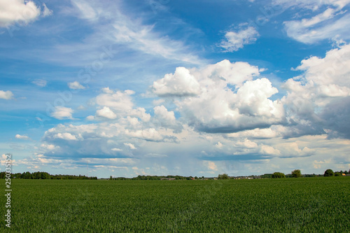 Green field and blue sky in the countryside