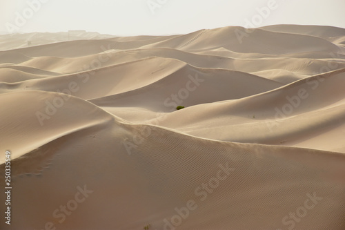 sand dunes  © Boris