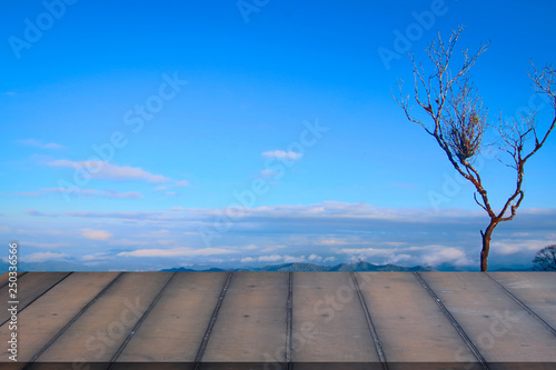 Fototapeta Naklejka Na Ścianę i Meble -  Wood background. Old wood and blue sky. Empty wood  floor against with the blue sky clouds.