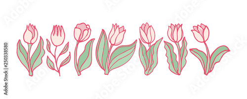 Spring Flowers Tulips. Freehand drawn pink tulips. Seven drawn tulips arranged in a horizontal ornament. Template for a gentle romantic design.