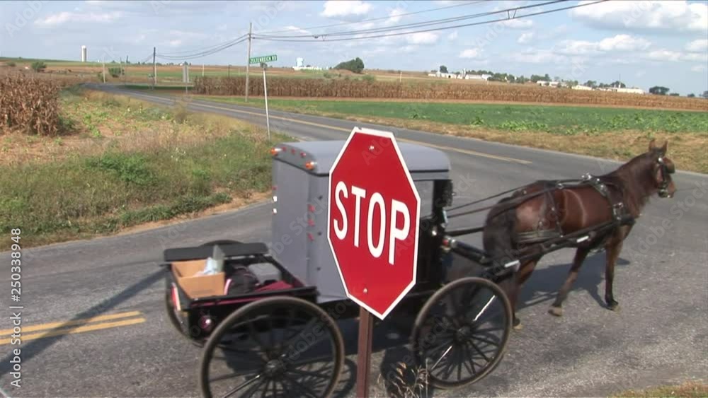 Amish horse and buggy next to farm in Lancaster, Pennsylvania