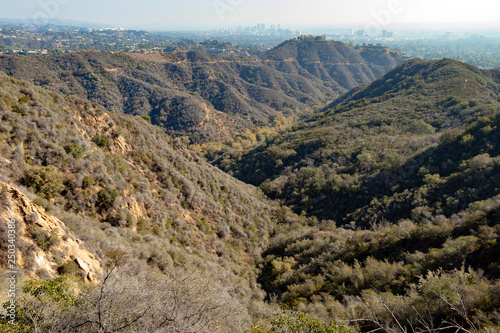 View of canyon overlooking Los Angeles skyline