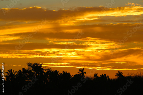 Sun and sunset lights with palm tree silhouette in the Yasawa Islands  Fiji