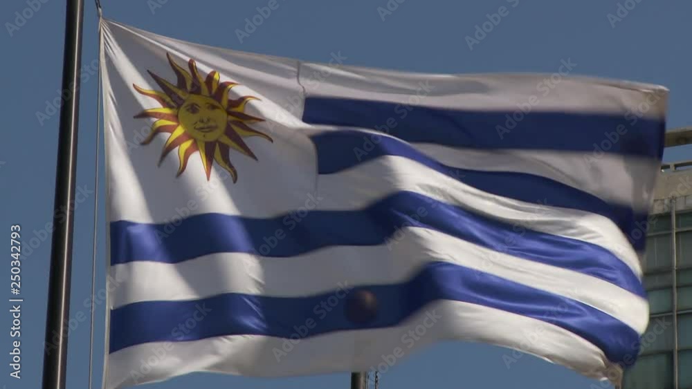 Flipping Flag Uruguay