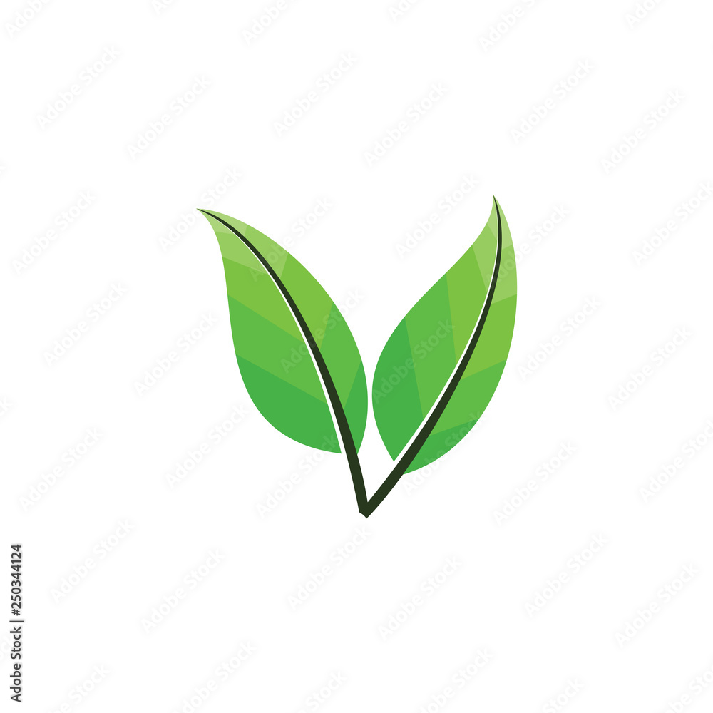 Double Leaf logo design Double Leaf logo design