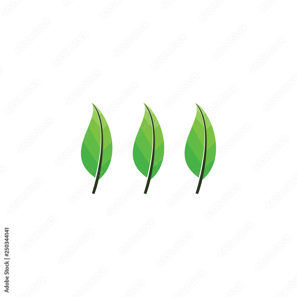 Fototapeta premium Triple Leaf logo design