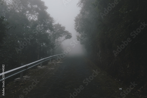 Foggy mountain road