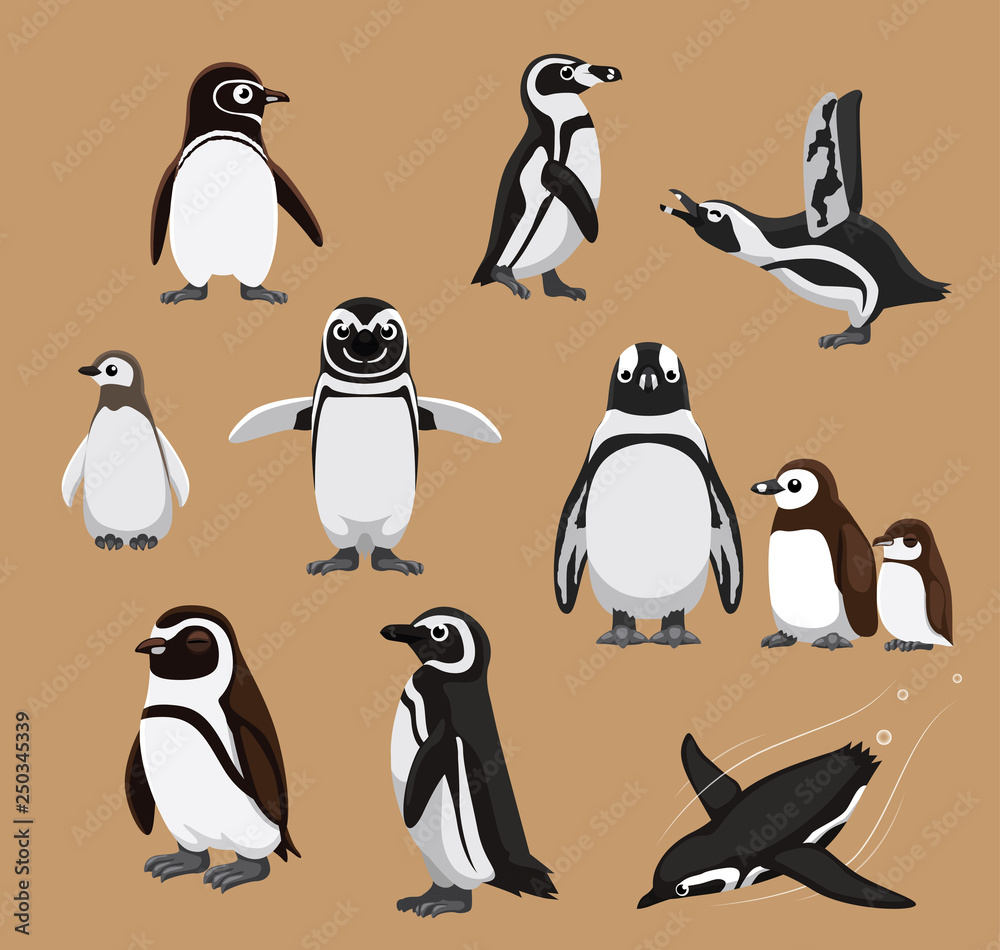 Obraz premium Cute Banded African Penguin Family Cartoon Vector Illustration
